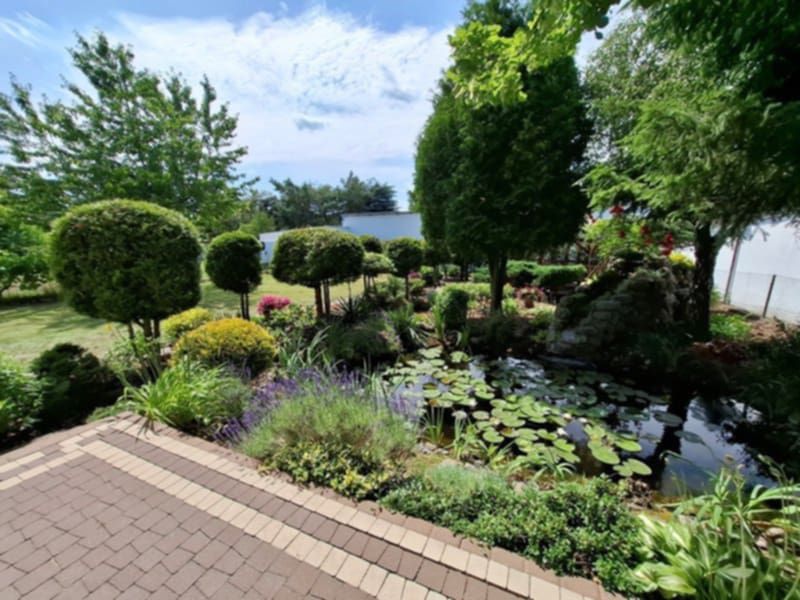 dom wolnostojący, 5 pokoi Stare Miasto, ul. Morwowa. Zdjęcie 7