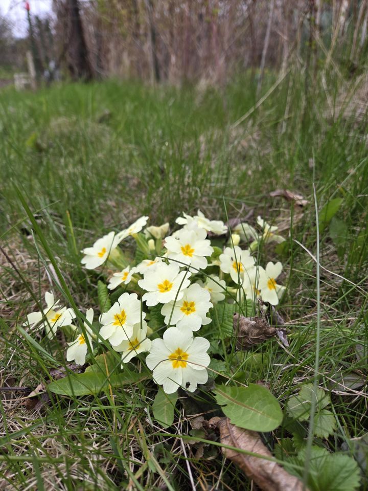 Działka rod Bielsko-Biała Lipnik, ul. Łąkowa. Zdjęcie 7
