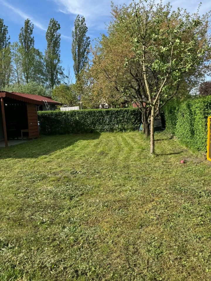 Działka rod Tychy. Zdjęcie 2