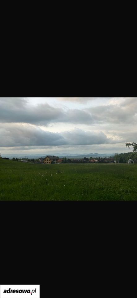 Działka budowlana Ściegny. Zdjęcie 3