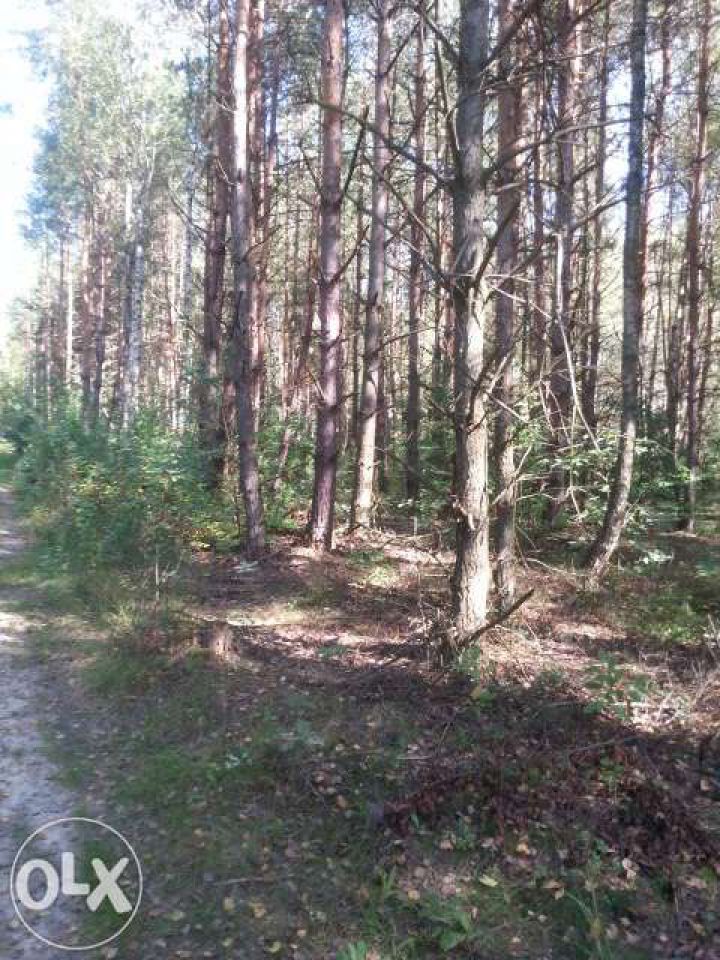 Działka rekreacyjna Chańcza. Zdjęcie 2