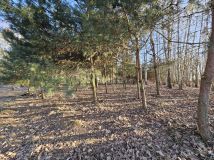 Działka budowlana Łukawska Wola. Zdjęcie 1