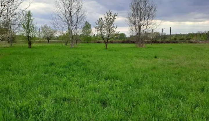 Działka inwestycyjna Marków-Towarzystwo, ul. Skierniewicka