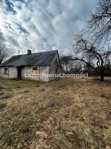 Działka rolno-budowlana Grzeszyn. Zdjęcie 7
