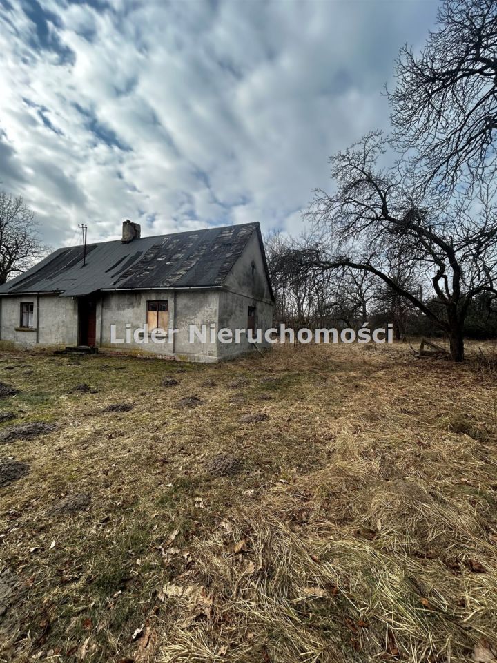 Działka rolno-budowlana Grzeszyn. Zdjęcie 7