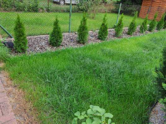 Działka rod Szamotuły. Zdjęcie 7