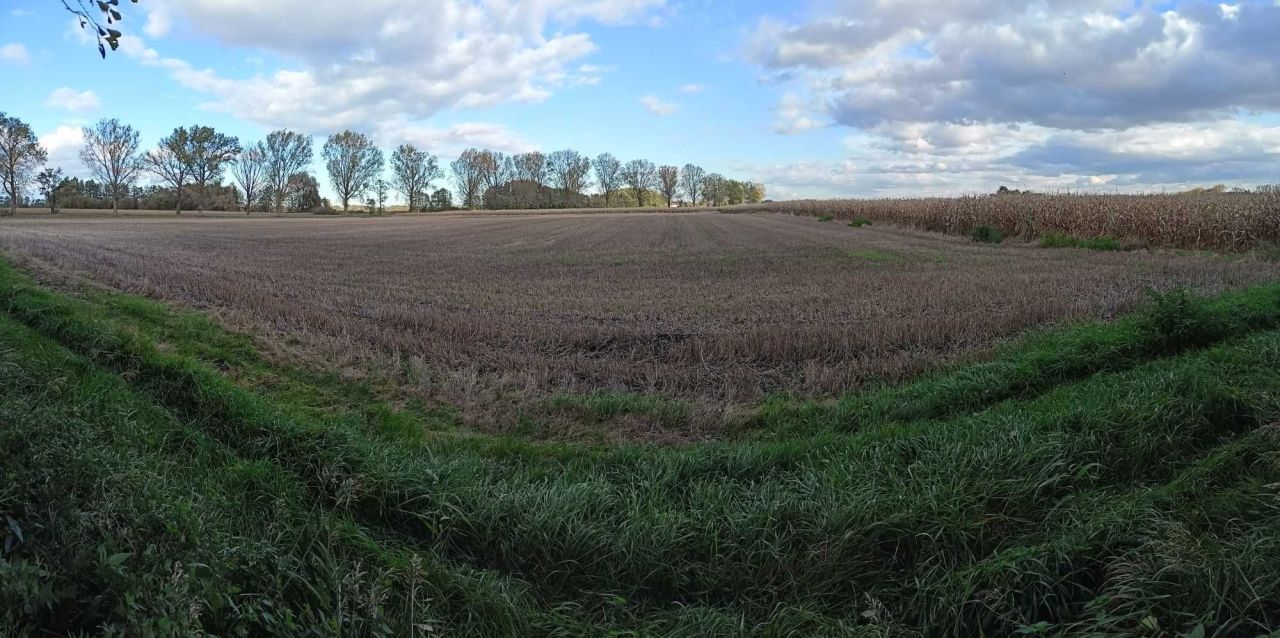 Działka inwestycyjna Strzelin, ul. Wojska Polskiego. Zdjęcie 4