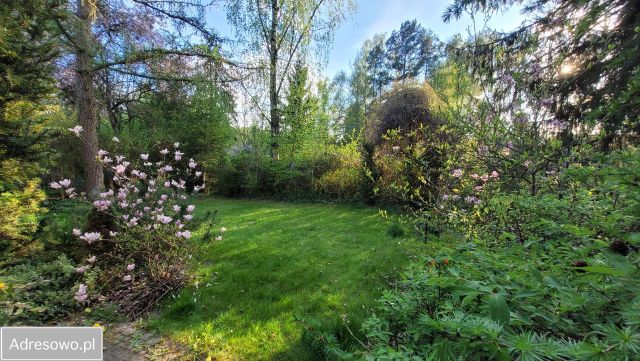 dom wolnostojący, 3 pokoje Nienawiszcz, ul. Przepadek. Zdjęcie 5