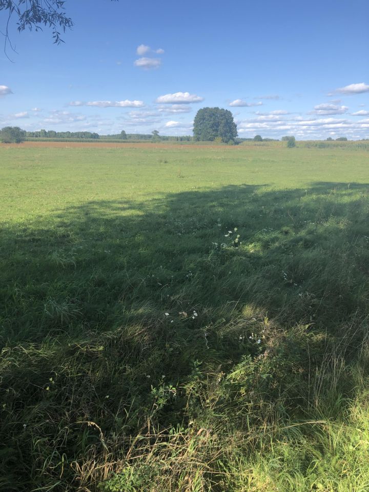 Działka rolno-budowlana Brzozówka Zakącie. Zdjęcie 7