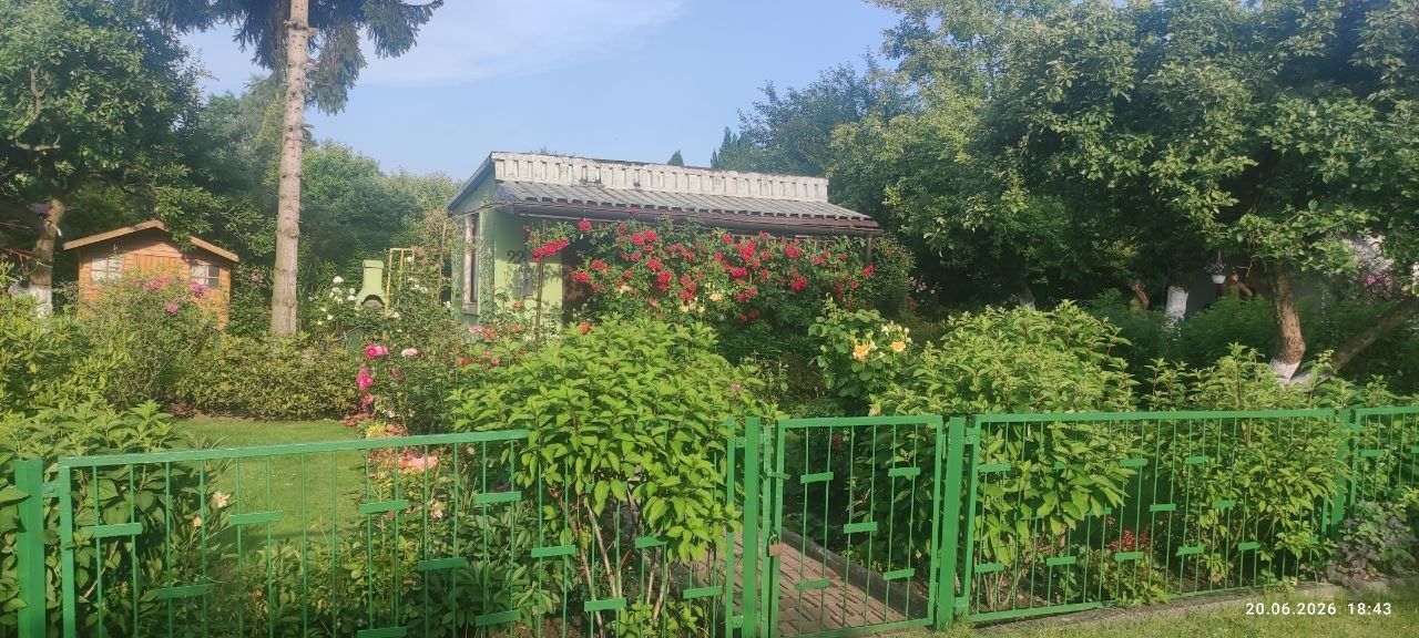 Działka rod Rybnik, ul. Franciszka Pilarczyka. Zdjęcie 2