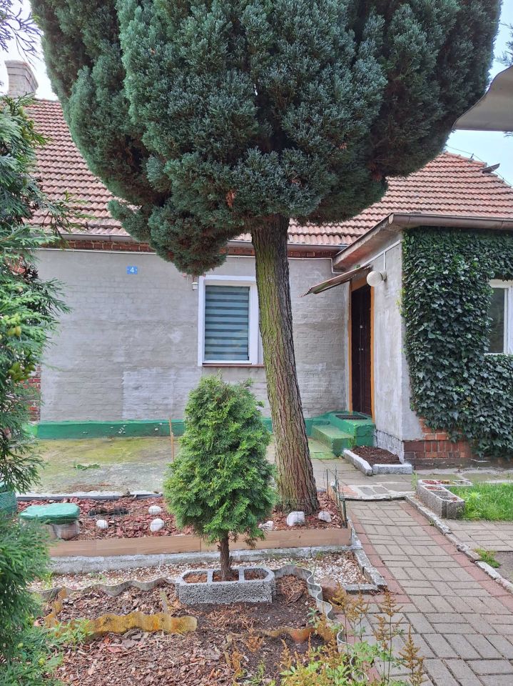 Mieszkanie 1-pokojowe Psarskie. Zdjęcie 2
