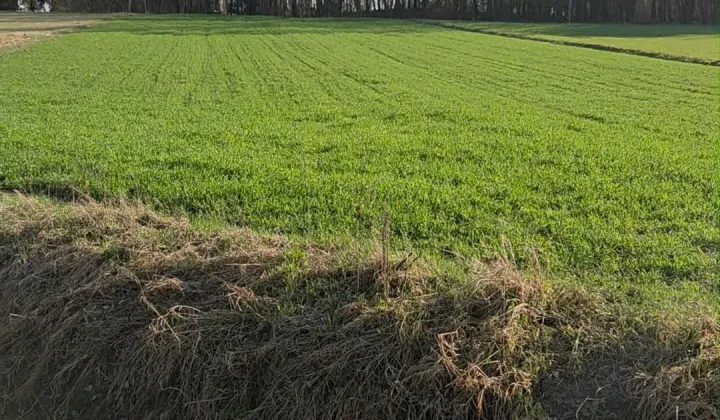 Działka budowlana Szetlew
