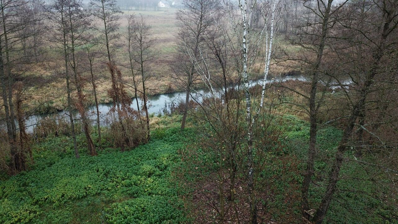 Działka budowlana Żar. Zdjęcie 7