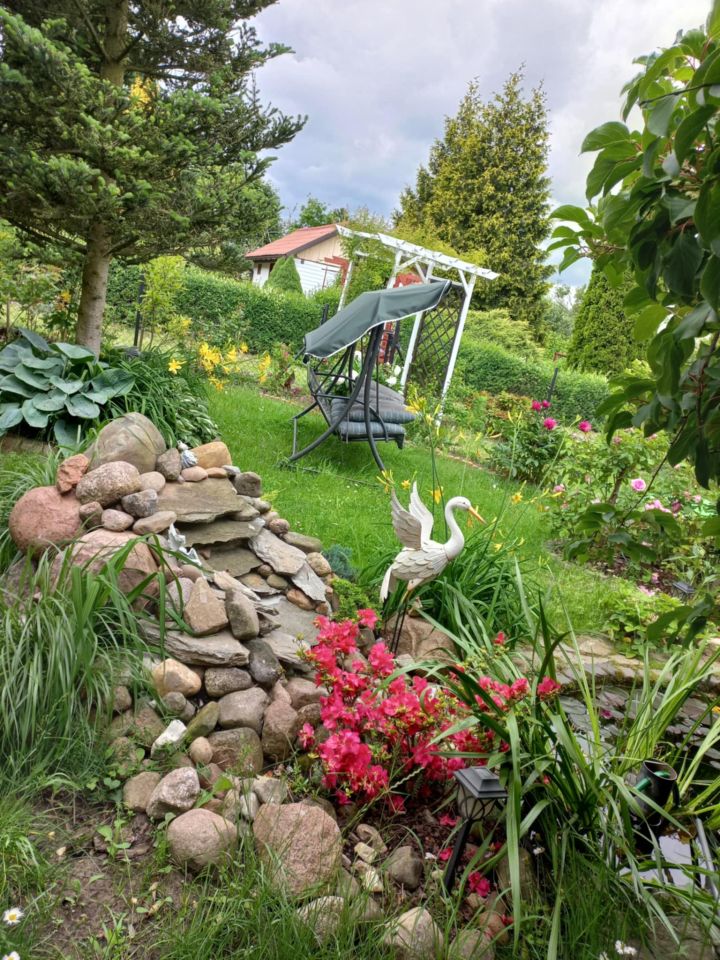 Działka rod Dys Bernatówka, ul. Bernatówka. Zdjęcie 21