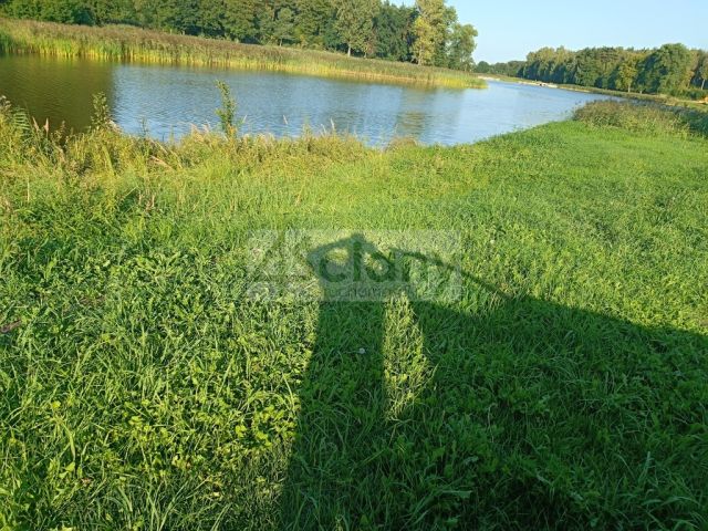 Działka siedliskowa Osuchów. Zdjęcie 25