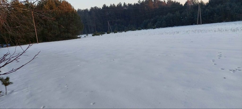 Działka rolna Łokietnica. Zdjęcie 2