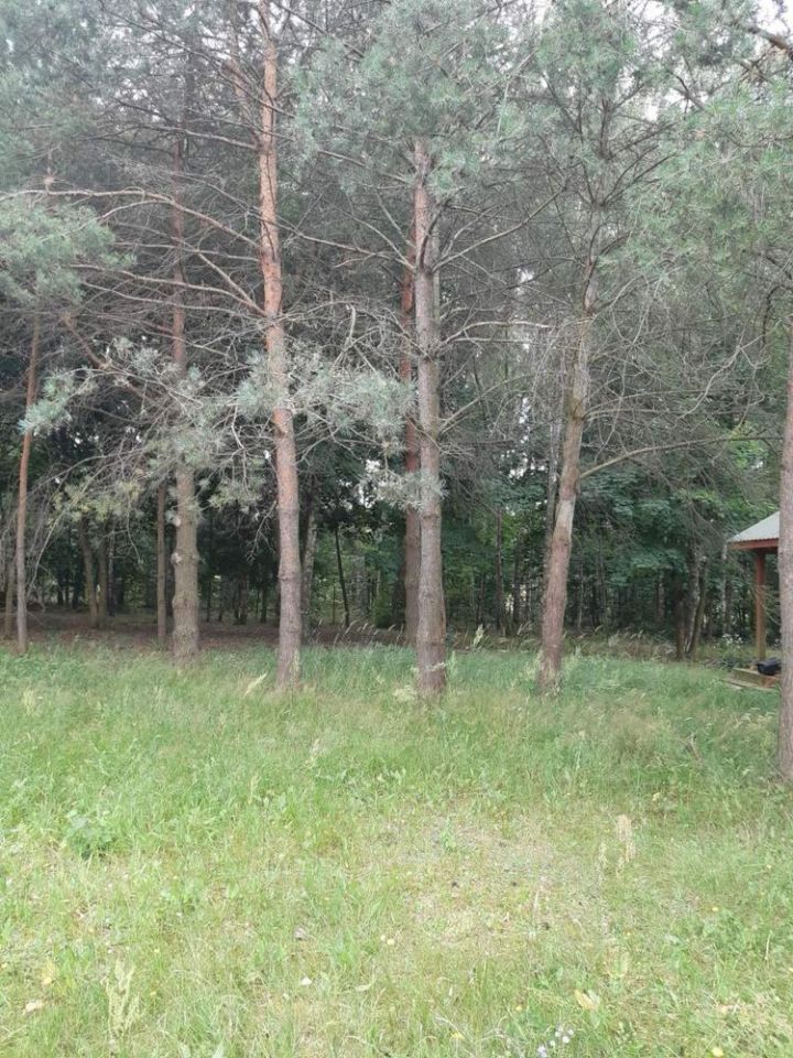 Działka rod Styrzyniec. Zdjęcie 2