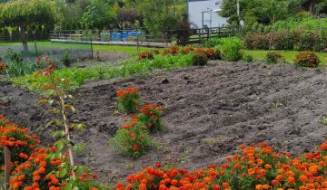 Działka rod Lublin, ul. Wapienna