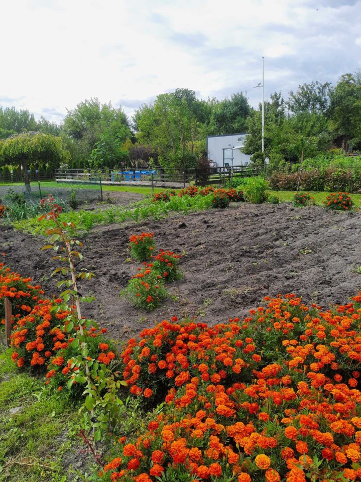 Działka rod Lublin, ul. Wapienna. Zdjęcie 2