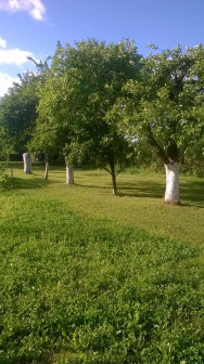 Działka rolno-budowlana Dąbrowa