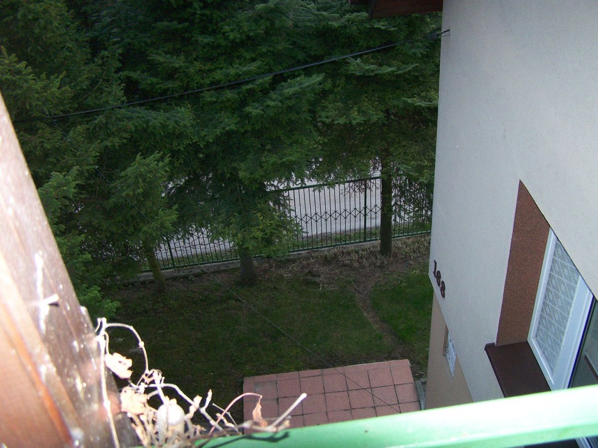 Działka rolno-budowlana Rybna. Zdjęcie 11