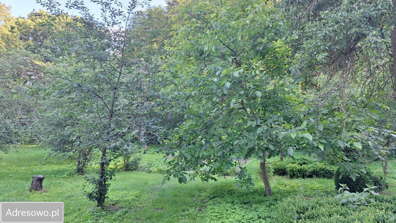 gospodarstwo, 3 pokoje Knyki. Zdjęcie 12