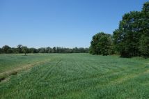 Działka rolna Ochaby Małe Bagna. Zdjęcie 1