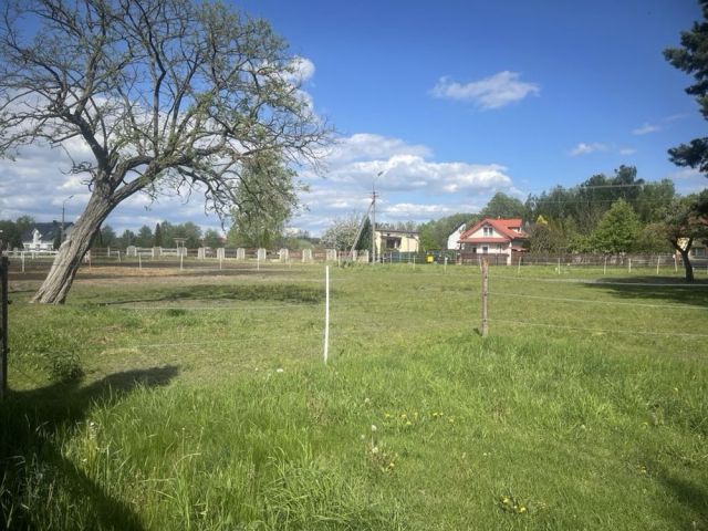 Działka budowlana Kozerki, ul. Jowisza. Zdjęcie 1