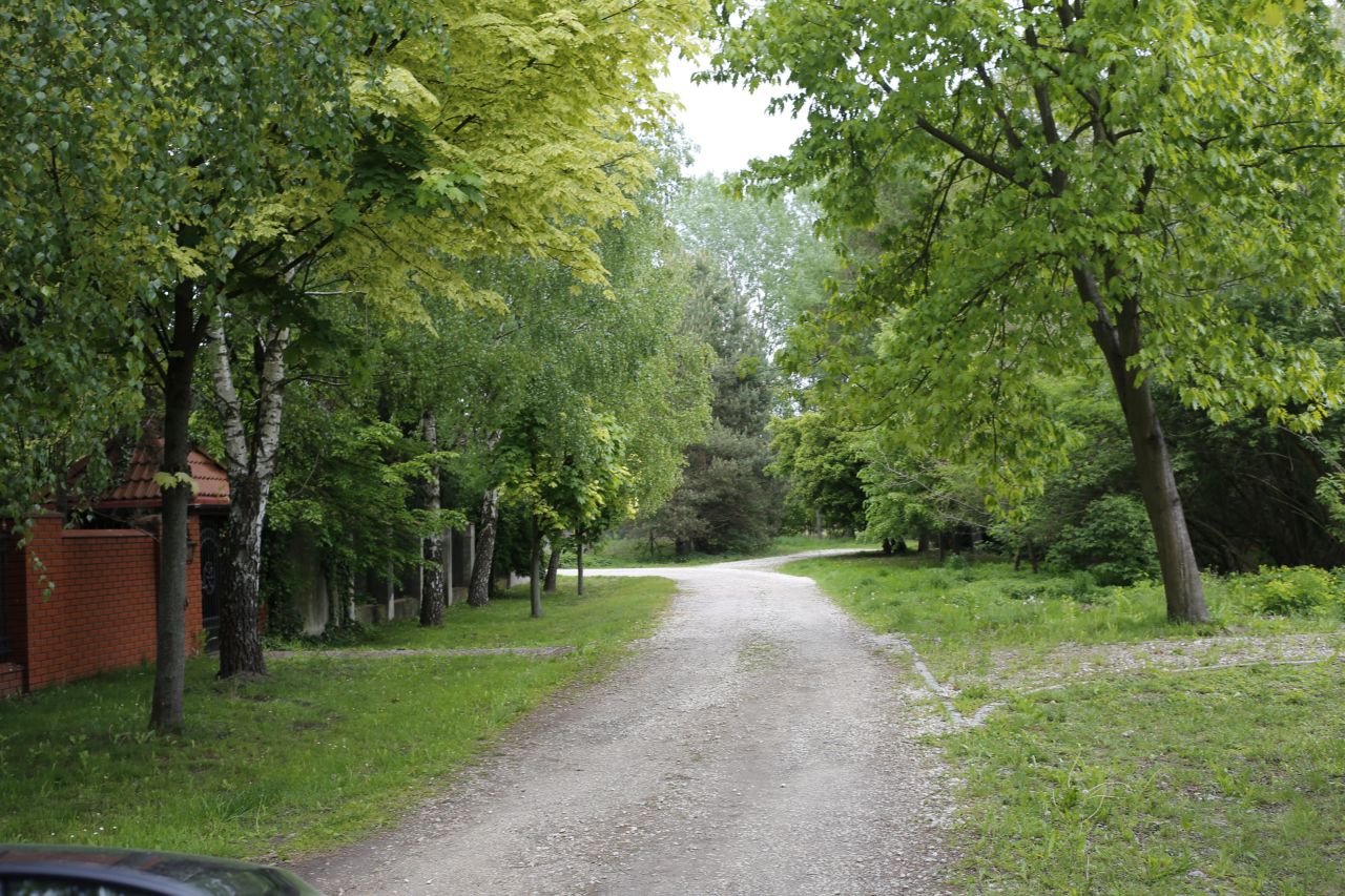 Działka budowlana Wyględy, ul. Cisowa. Zdjęcie 4