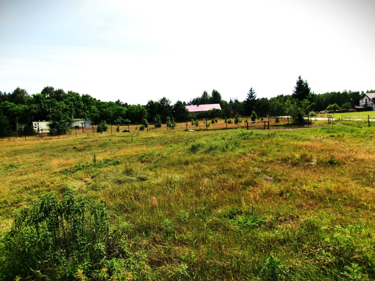 Działka budowlana Śródborze Głodowo. Zdjęcie 2