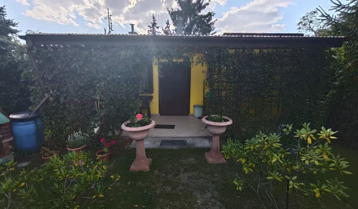 Działka rod Luboń, ul. Świerczewska