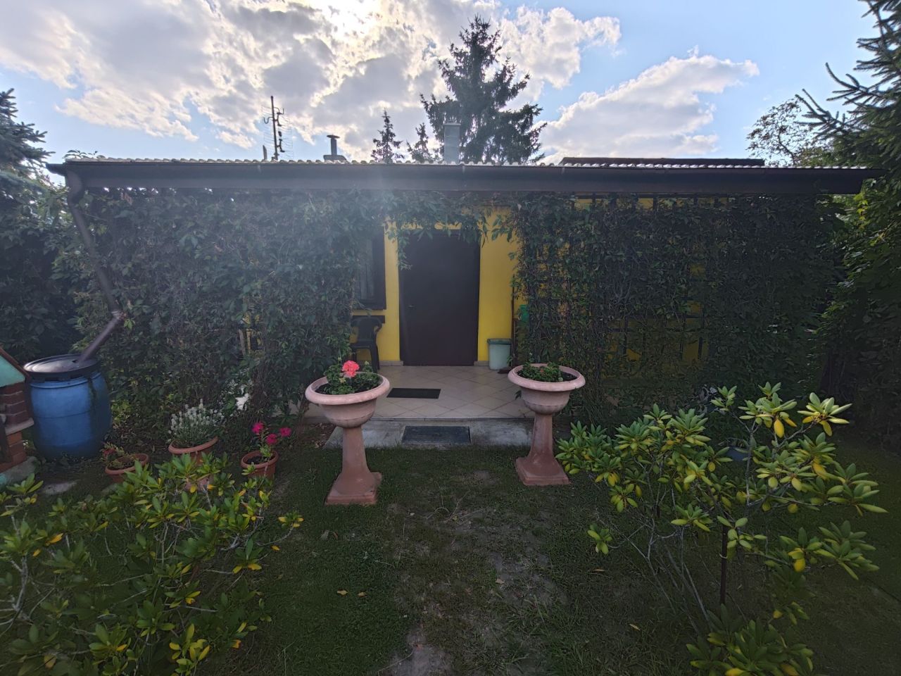 Działka rod Luboń, ul. Świerczewska