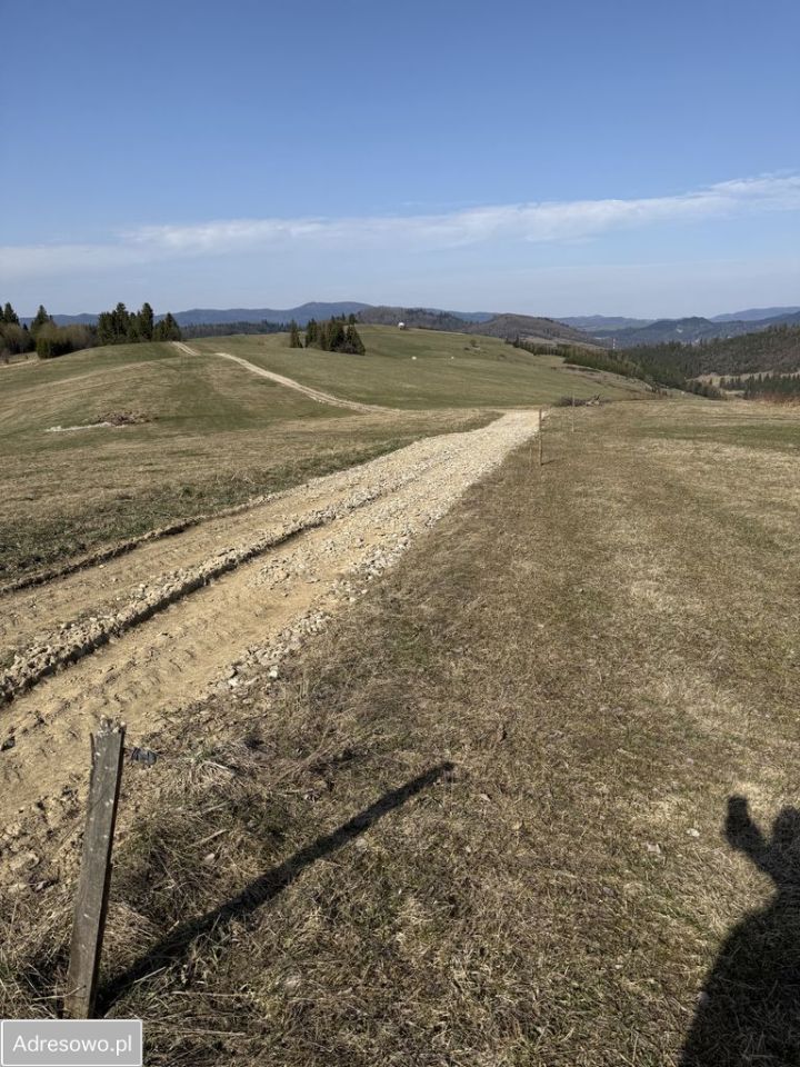 Działka rolna Łapsze Niżne. Zdjęcie 3