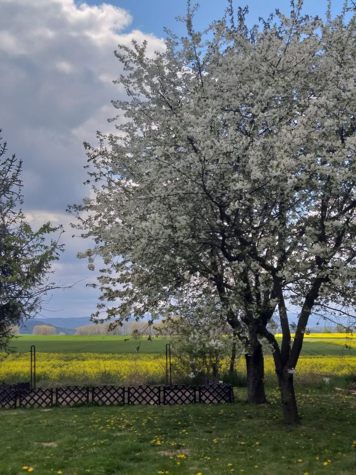 dom wolnostojący Nowy Las. Zdjęcie 15