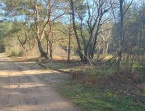 Działka budowlana Otwock Świder, ul. Grunwaldzka. Zdjęcie 1