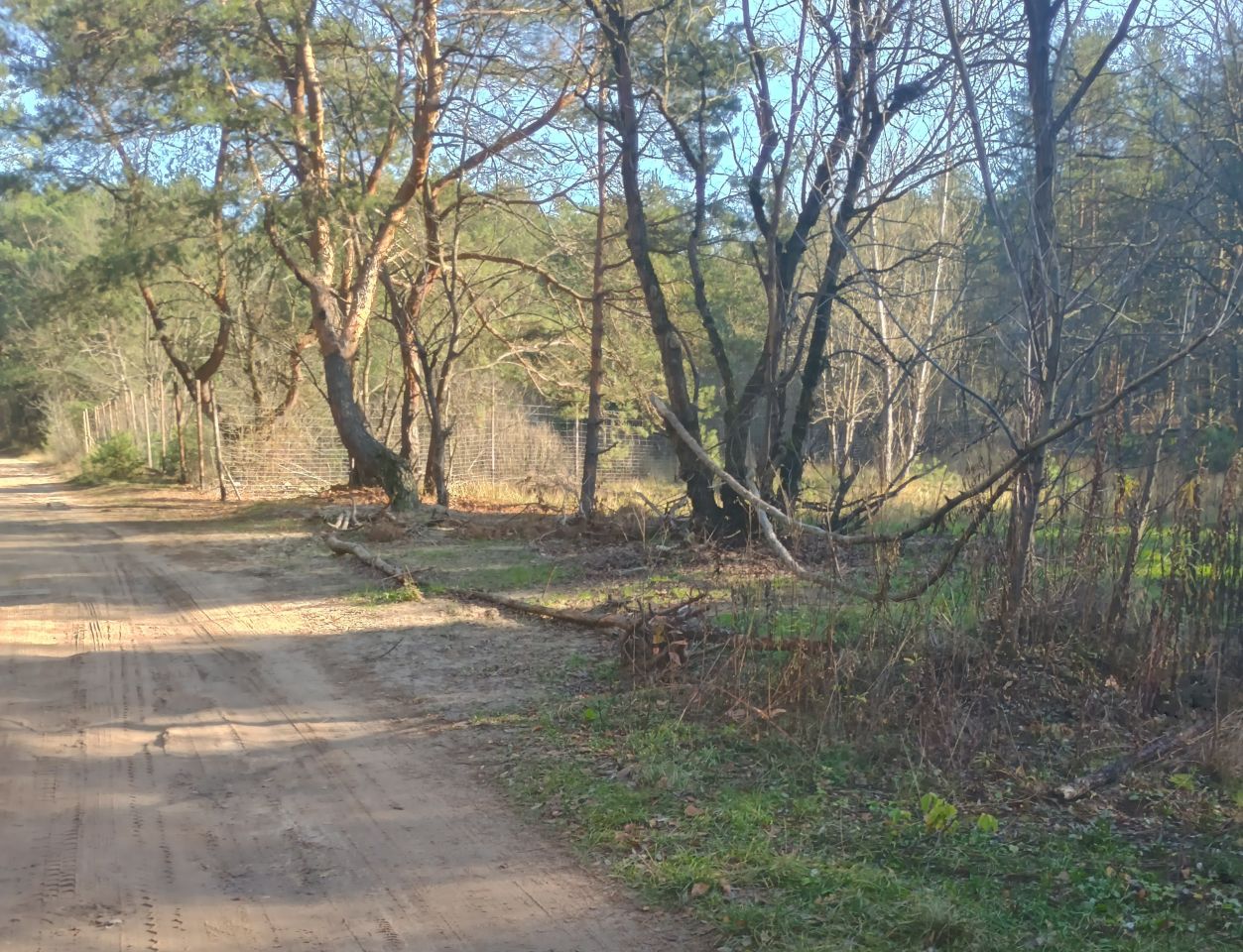 Działka budowlana Otwock Świder, ul. Grunwaldzka. Zdjęcie 2