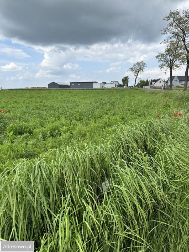 Działka inwestycyjna Brzostek. Zdjęcie 8