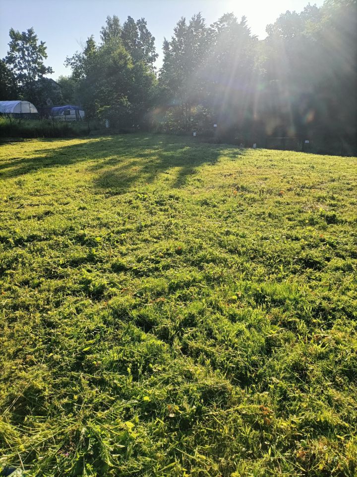 Działka rod Gdańsk Złota Karczma, ul. mjr. Mieczysława Słabego. Zdjęcie 6