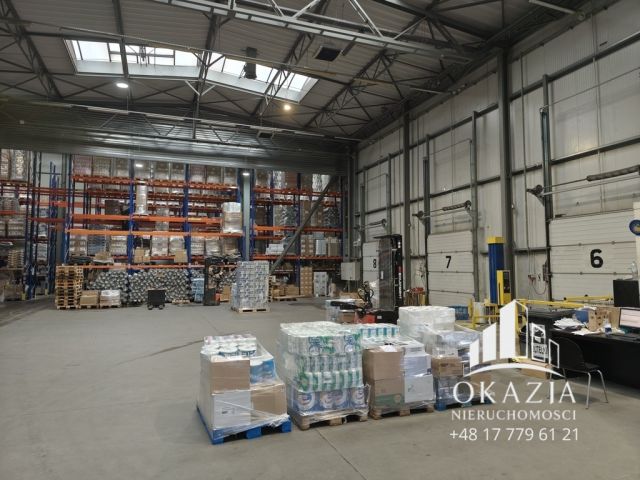 Hala/magazyn Piła, ul. Jana Styki. Zdjęcie 9