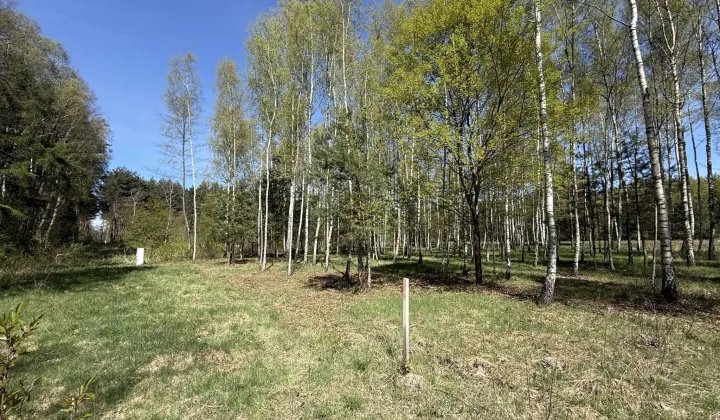 Działka budowlana Rybna, ul. Kręta