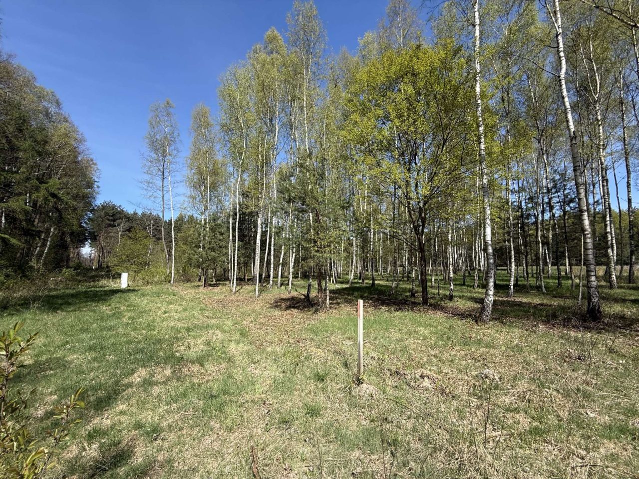 Działka budowlana Rybna, ul. Kręta. Zdjęcie 1