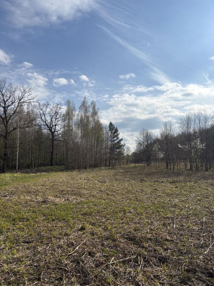 Działka rolna Parszów, ul. Złotoglin. Zdjęcie 7