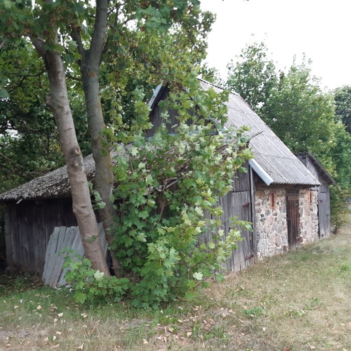 Działka rolno-budowlana Zieluń, ul. Stefana Batorego. Zdjęcie 7