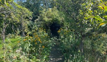 Działka rod Wrocław Krzyki