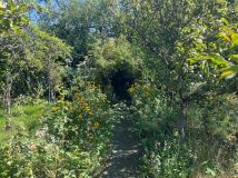 Działka rod Wrocław Krzyki. Zdjęcie 1