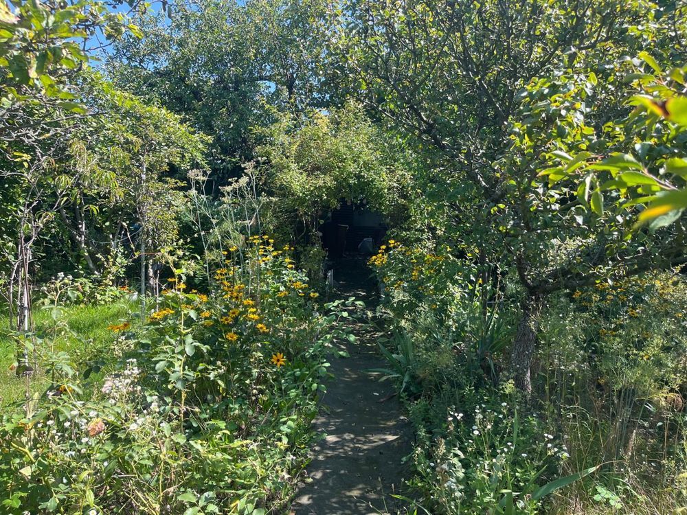 Działka rod Wrocław Krzyki. Zdjęcie 2