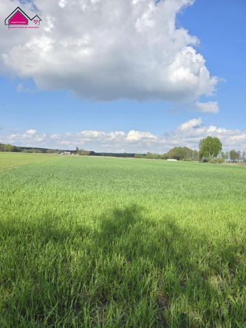 Działka rekreacyjna Skrzynka. Zdjęcie 5