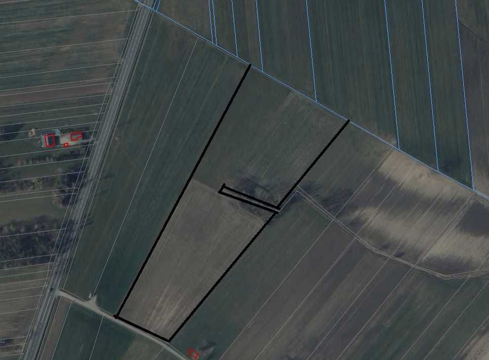 Działka rolno-budowlana Ciepielów-Kolonia. Zdjęcie 2