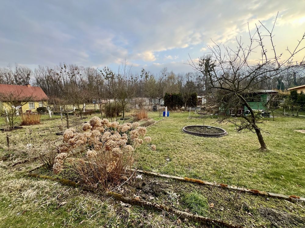 Działka rod Rybnik Śródmieście, ul. Powstańców Śląskich. Zdjęcie 5