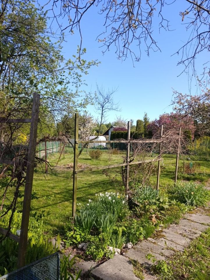 Działka rod Zaborze. Zdjęcie 2